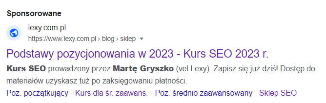 Google – płatny wynik wyszukiwania