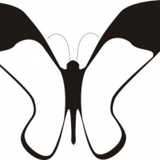 Centrum Językowe Werwinski com