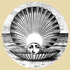 sandra gołębiowska