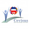 Cevisus