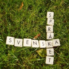 ÅÄÖ Centrum Języka Szwedzkiego