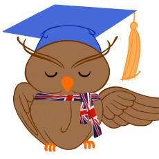 Aveline Language Ewelina Nyske