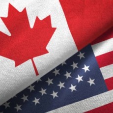 Perfect Language Aneta Dobrołęcka