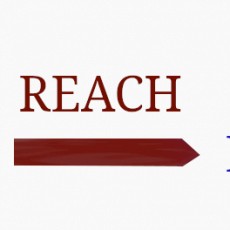 ReachEnglish
